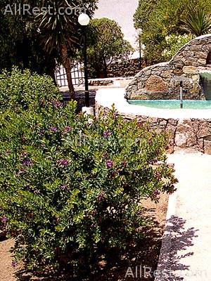 Alkistis Hotel 8